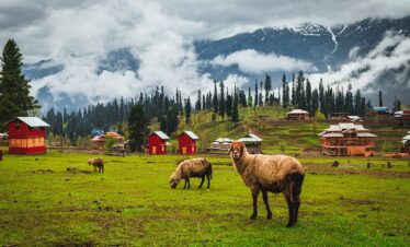 3 Days Group Tour to Kashmir, Kutton & Arang Kel